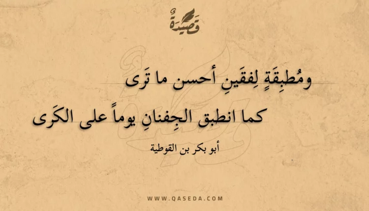 قصيدة ومطبقة لفقين أحسن ما ترى