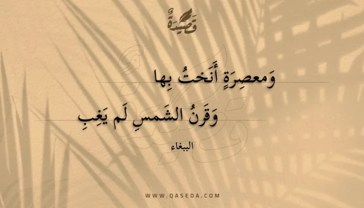 قصيدة ومعصرة أنخت بها