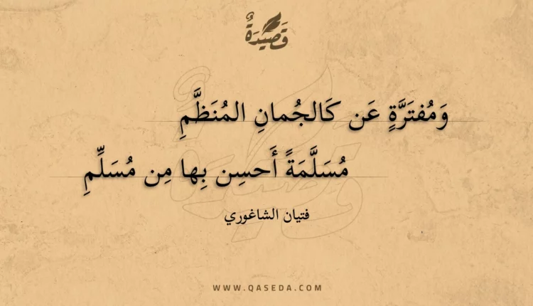 قصيدة ومفترة عن كالجمان المنظم