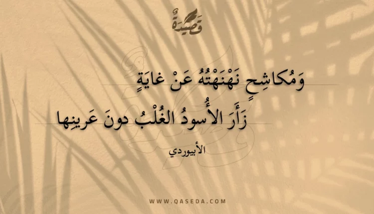 قصيدة ومكاشح نهنهته عن غاية