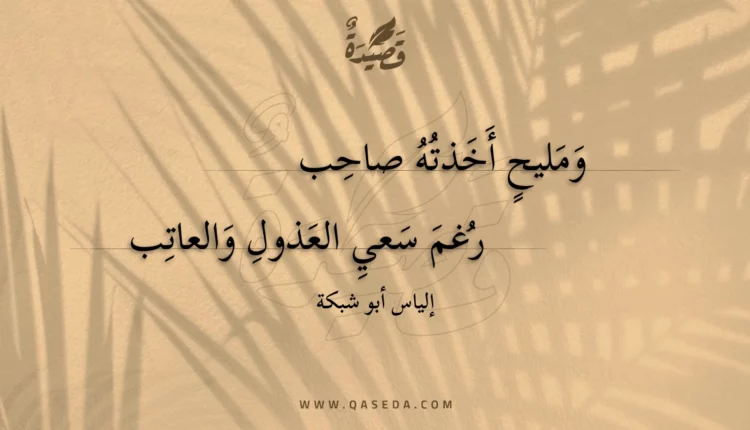 قصيدة ومليح أخذته صاحب