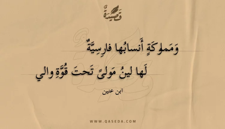 قصيدة ومملوكة أنسابها فارسية
