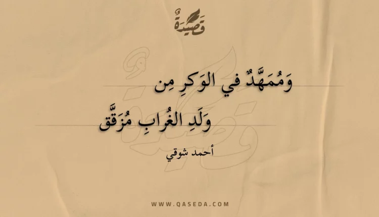 قصيدة وممهد في الوكر