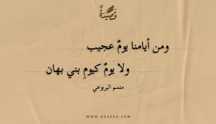 قصيدة ومن أيامنا يوم عجيب