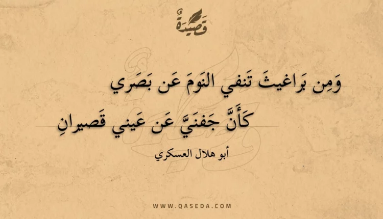 قصيدة ومن براغيث تنفي النوم عن بصري