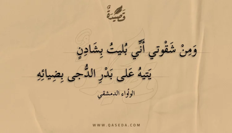 قصيدة ومن شقوتي أني بليت بشادن