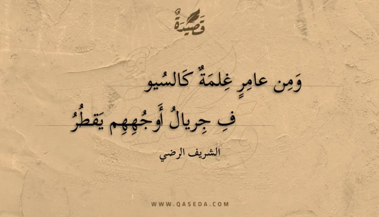 قصيدة ومن عامر غلمة كالسيوف