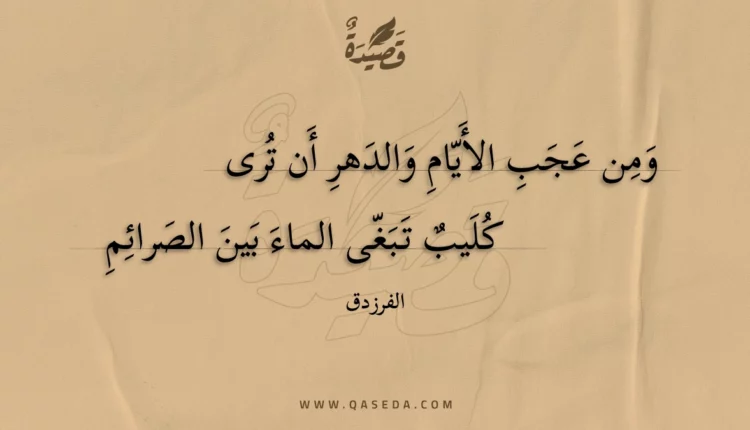 قصيدة ومن عجب الأيام والدهر أن ترى