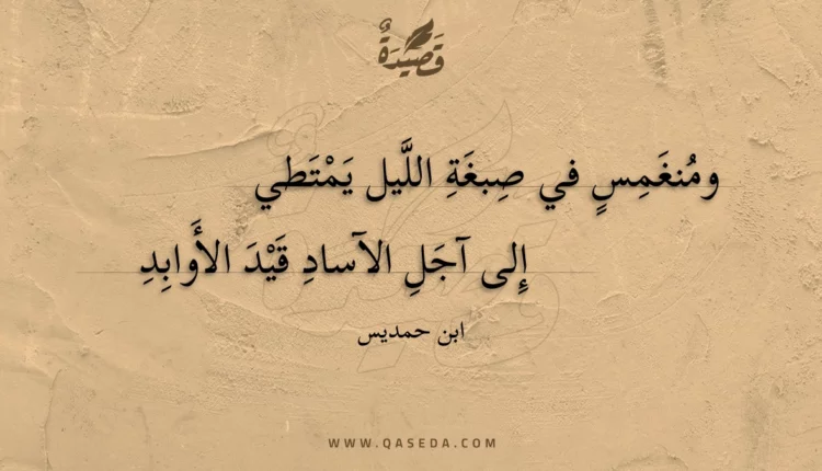 قصيدة ومنغمس في صبغة الليل يمتطي