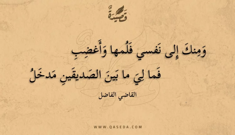 قصيدة ومنك إلى نفسي فلمها وأغضب