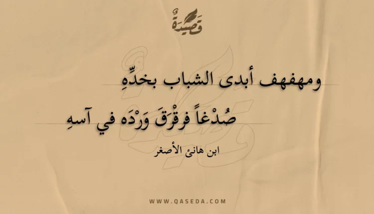 قصيدة ومهفهف أبدى الشباب بخده