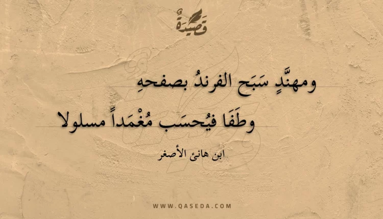 قصيدة ومهند سبح الفرند بصفحه