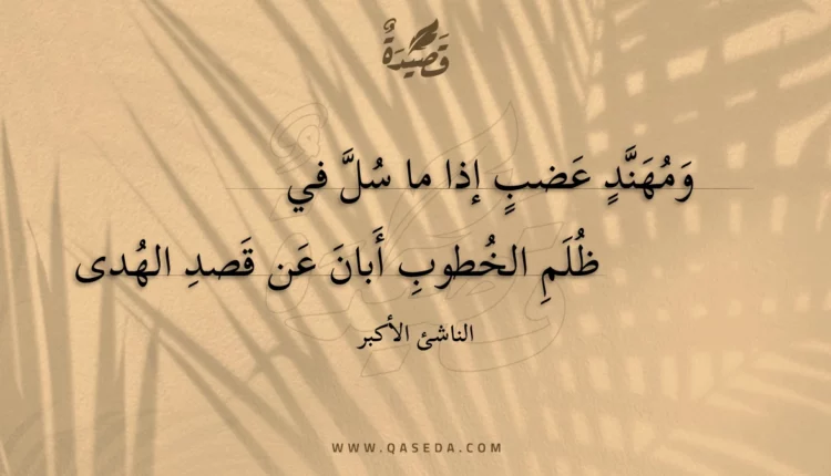 قصيدة ومهند عضب إذا ما سل في
