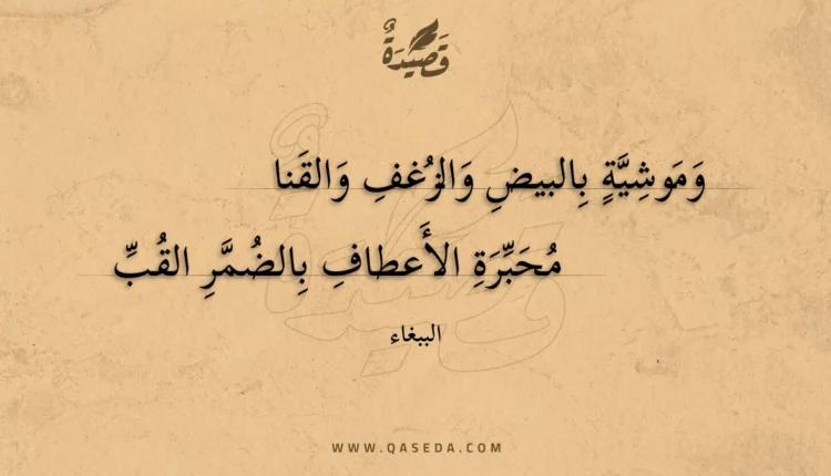 قصيدة وموشية بالبيض والزغف والقنا