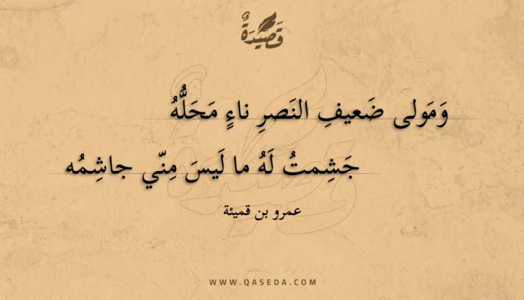قصيدة ومولى ضعيف النصر ناء محله