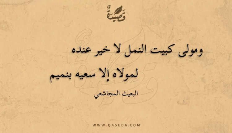 قصيدة ومولى كبيت النمل لا خير عنده
