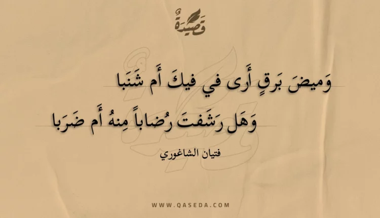 قصيدة وميض برق أرى في فيك أم شنبا