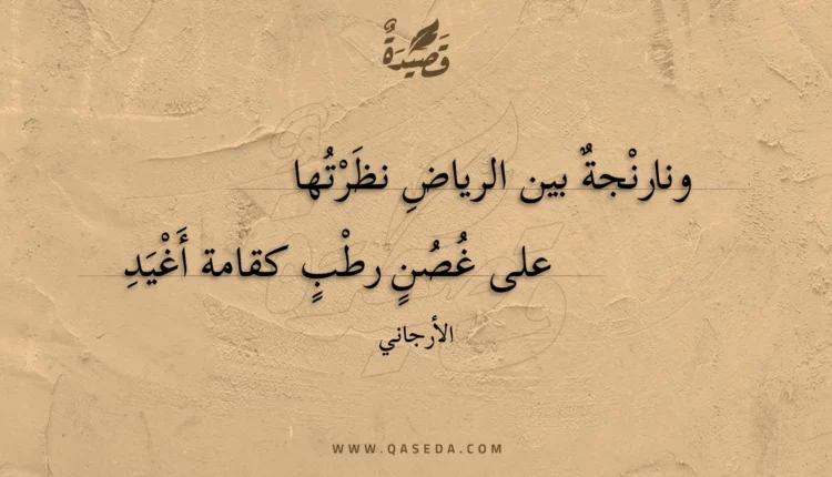 قصيدة ونارنجة بين الرياض نظرتها