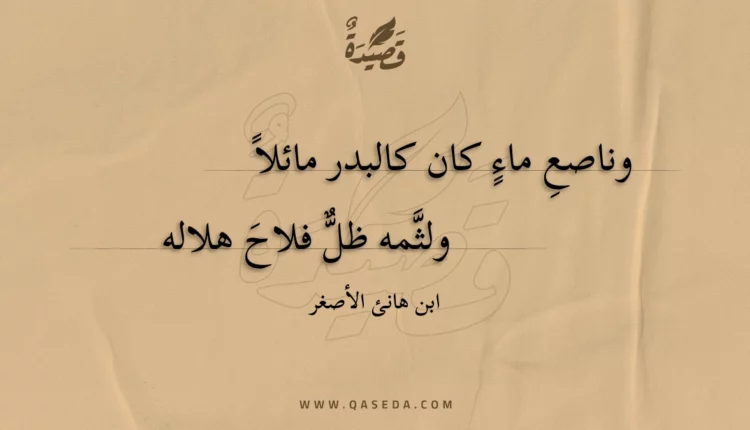 قصيدة وناصعِ ماء كان كالبدر مائلا