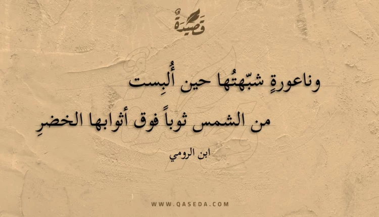 قصيدة وناعورة شبهتها حين ألبست