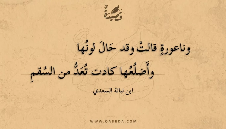 قصيدة وناعورة قالت وقد حال لونها