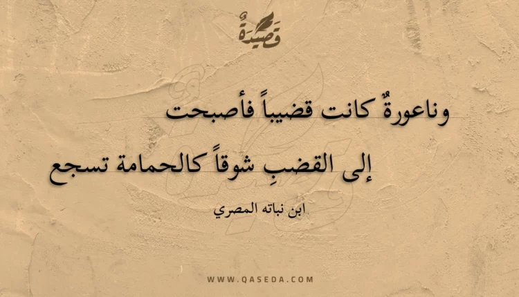 قصيدة وناعورة كانت قضيبا فأصبحت