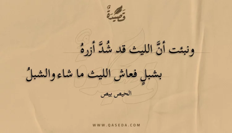قصيدة ونبئت أن الليث قد شد أزره