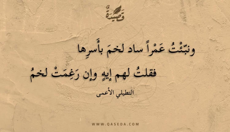 قصيدة ونبئت عمرا ساد لخم بأسرها