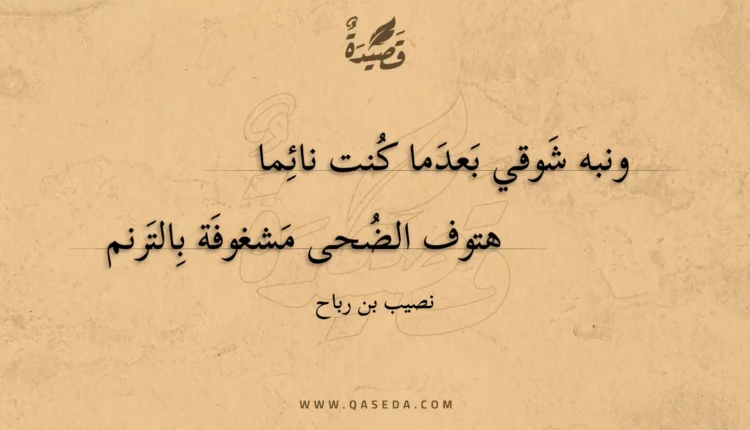 قصيدة ونبه شوقي بعدما كنت نائما