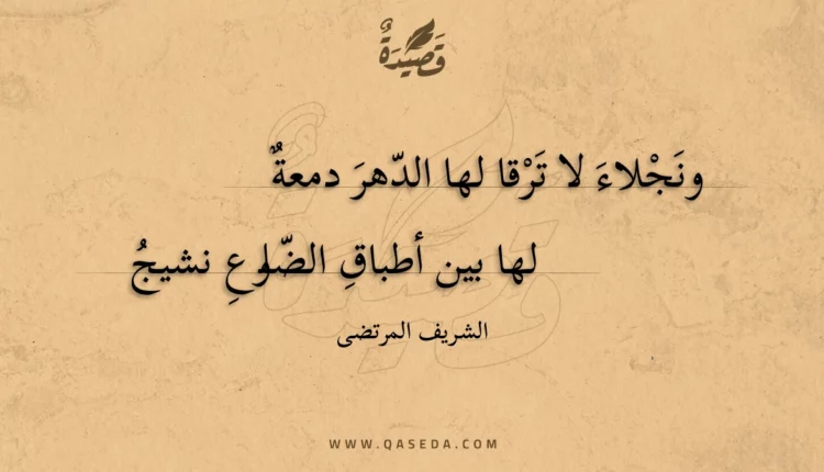 قصيدة ونجلاء لا ترقا لها الدهر دمعة