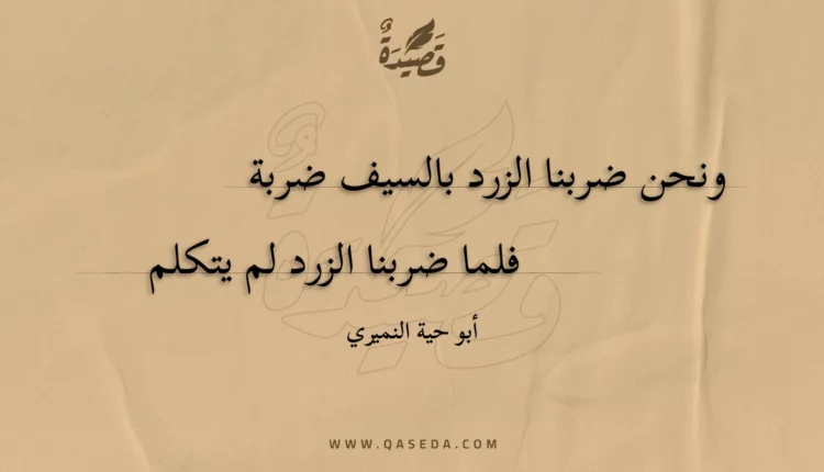 قصيدة ونحن ضربنا الزرد بالسيف ضربة
