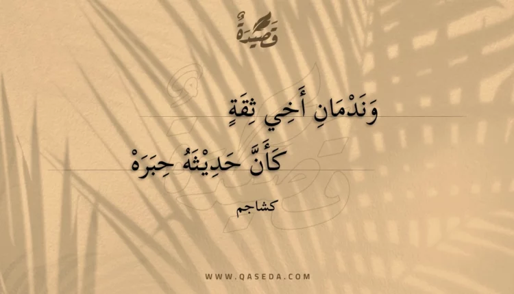 قصيدة وندمان أخي ثقة