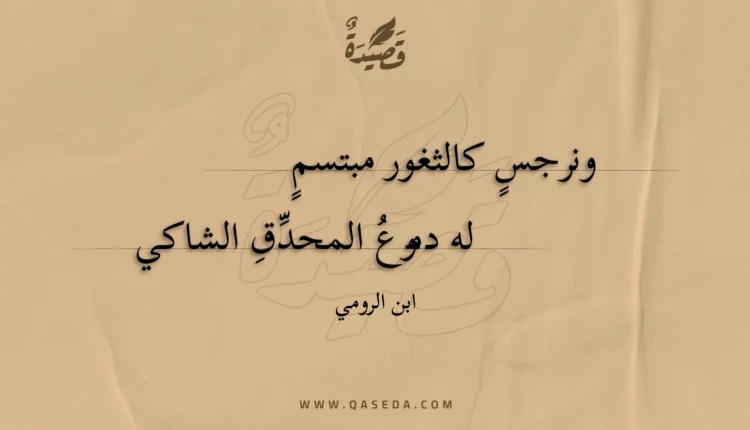 قصيدة ونرجس كالثغور مبتسم