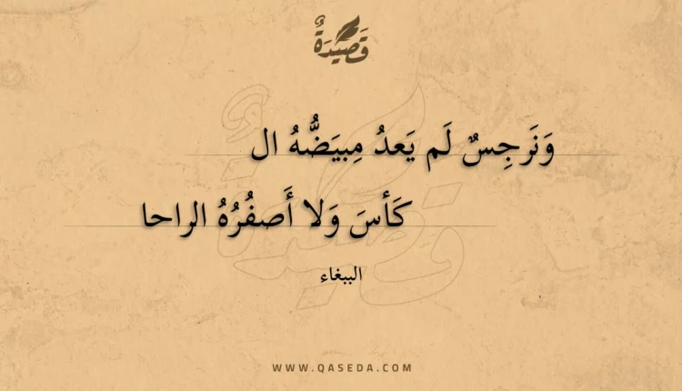 قصيدة ونرجس لم يعد مبيضه