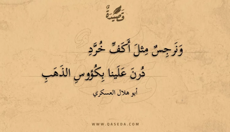 قصيدة ونرجس مثل أكف خرد