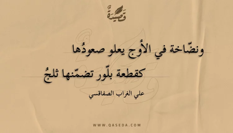 قصيدة ونضاخة في الأوج يعلو صعودها