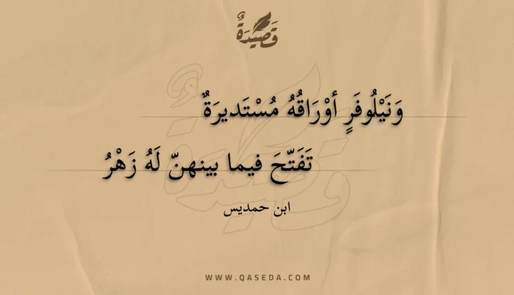 قصيدة ونيلوفر أوراقه مستديرة