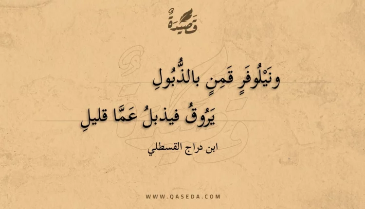قصيدة ونيلوفر قمن بالذبول