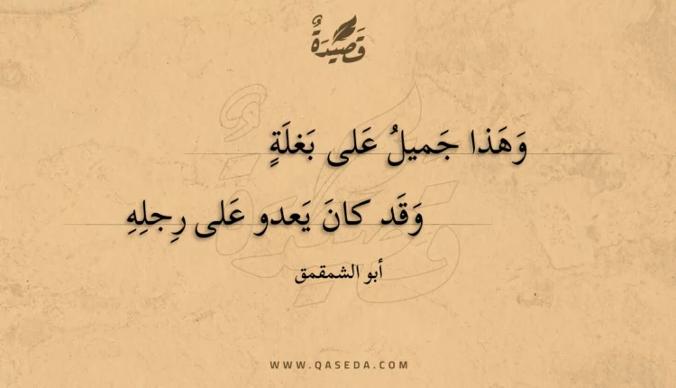 قصيدة وهذا جميل على بغلة