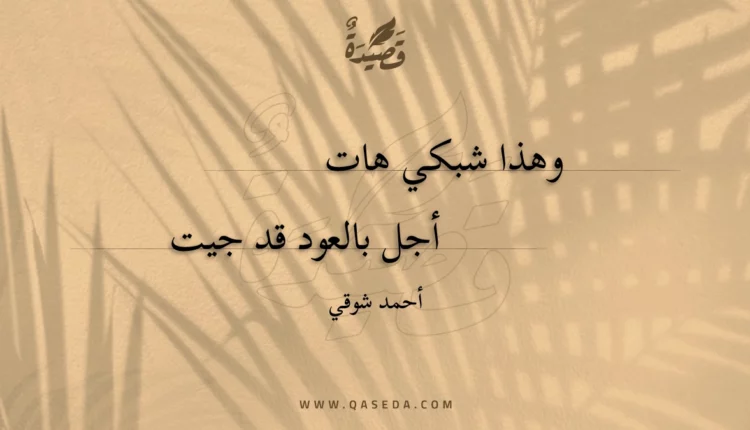 قصيدة وهذا شبكي هات