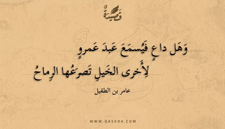 قصيدة وهل داع فيسمع عبد عمرو