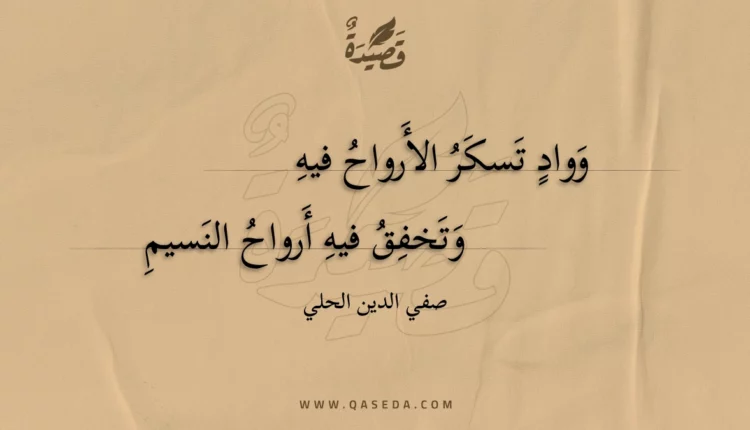 قصيدة وواد تسكر الأرواح فيه