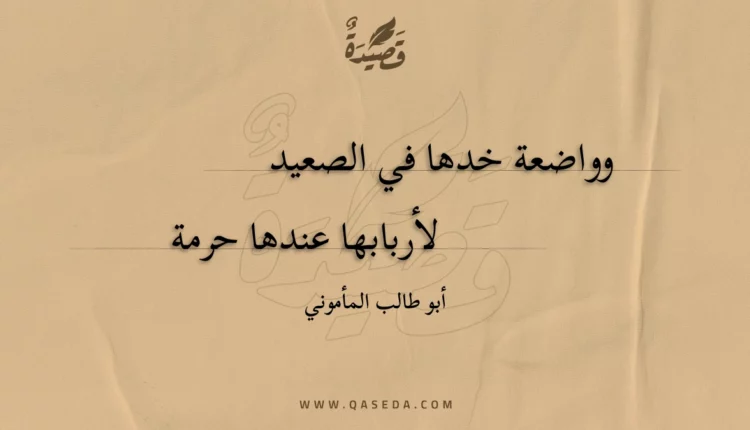 قصيدة وواضعة خدها في الصعيد