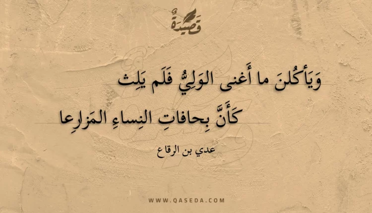 قصيدة ويأكلن ما أغنى الولي فلم يلث