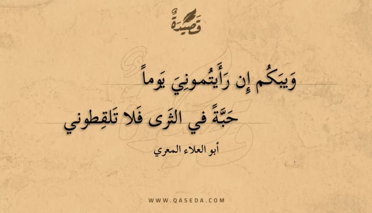 قصيدة ويبكم إن رأيتموني يوما