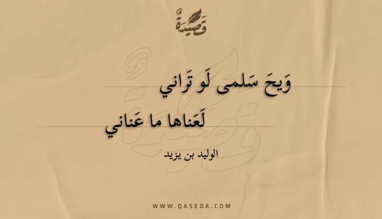 قصيدة ويح سلمى لو تراني