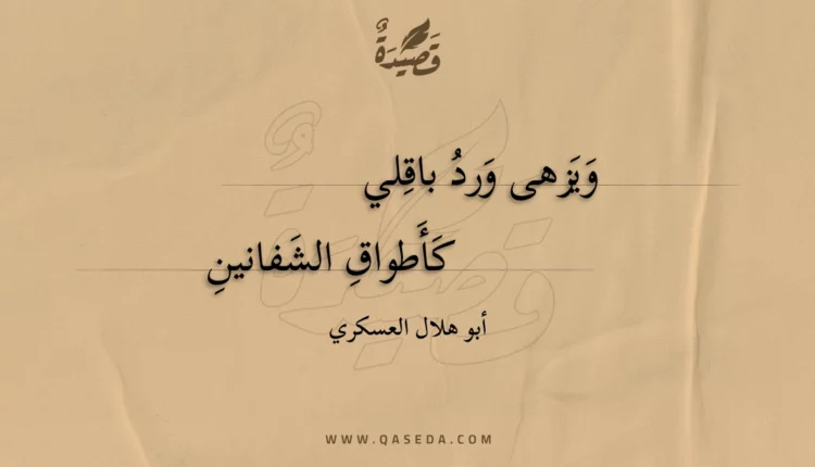 قصيدة ويزهى ورد باقلي