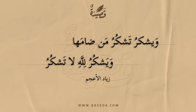 قصيدة ويشكر تشكر من ضامها