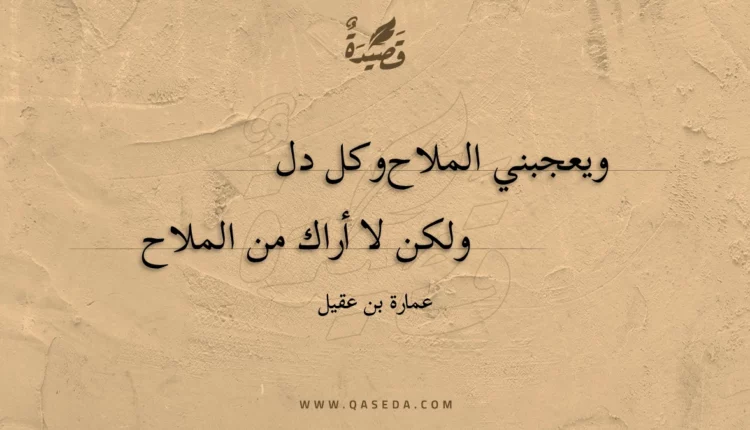 قصيدة ويعجبني الملاح وكل دل