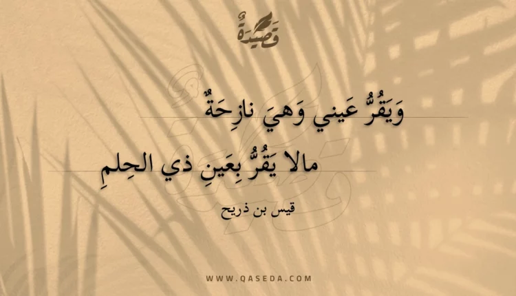 قصيدة ويقر عيني وهي نازحة